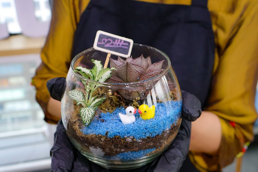 Workshop Terrarium 5