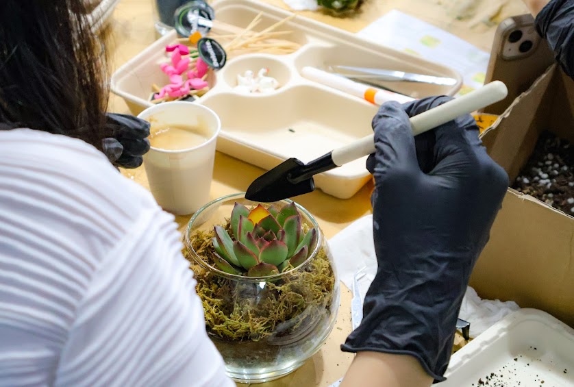 Workshop Terrarium