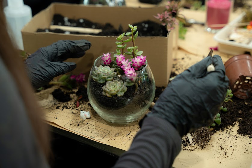 Workshop Terrarium 2