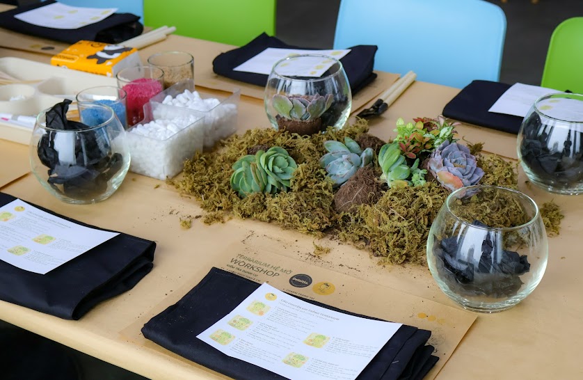 Workshop Terrarium 4